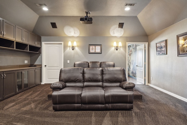 15961 Custer Trl, Frisco, TX 75035 - cinema room with vaulted ceiling, dark carpet, and a textured wall