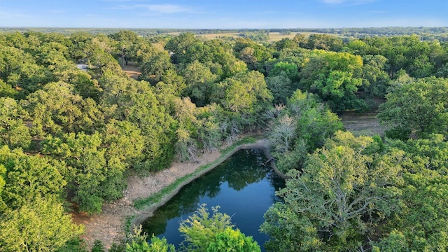 1210 Gordonville Rd, Gordonville, TX 76245 - drone / aerial view with a water view and a forest view