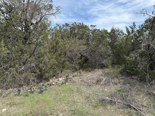 6102 Tin Top Hwy, Granbury, TX 76048