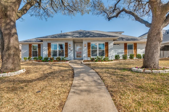 view of front of home with brick siding and a front lawn