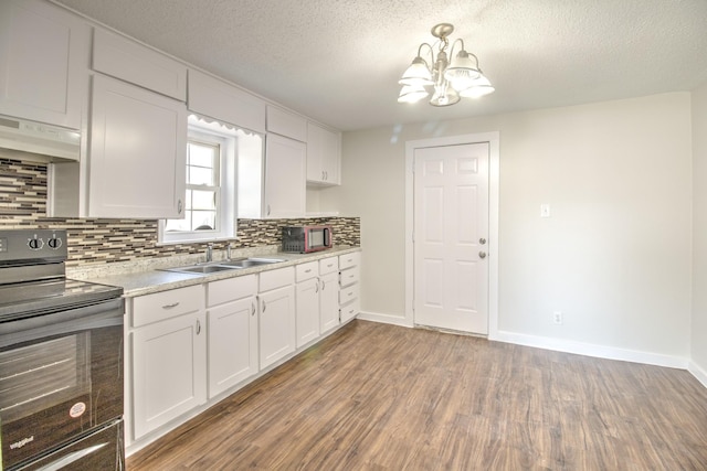 kitchen featuring electric range oven, tasteful backsplash, wood finished floors, a sink, and under cabinet range hood