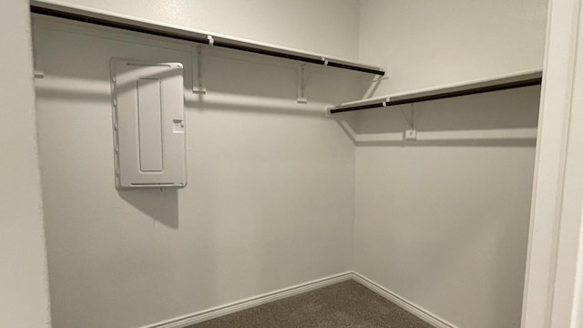 4165 Plateau Dr, Forney, TX 75126 - spacious closet with electric panel and carpet flooring