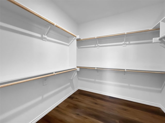 spacious closet featuring dark wood-style floors