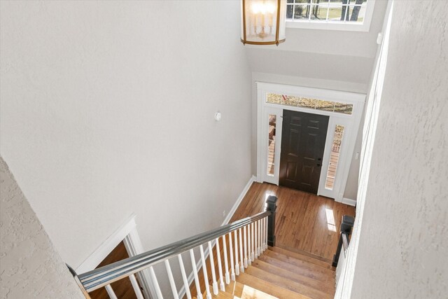 foyer entrance featuring baseboards and wood finished floors
