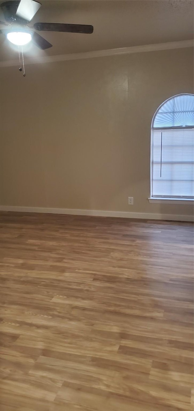 425 Oxford Dr, Sherman, TX 75092 - spare room featuring baseboards, ornamental molding, a ceiling fan, and light wood-type flooring