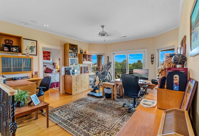 office space with ceiling fan, crown molding, light wood finished floors, and visible vents
