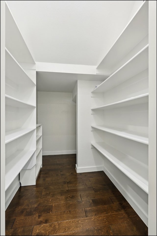 walk in closet featuring dark wood-type flooring