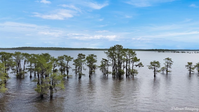613 Moore Rd, Elm Grove, LA 71051 - water view