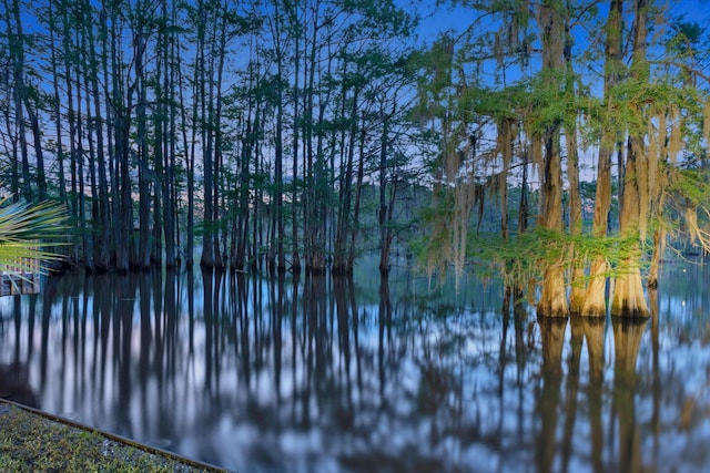 613 Moore Rd, Elm Grove, LA 71051 - water view