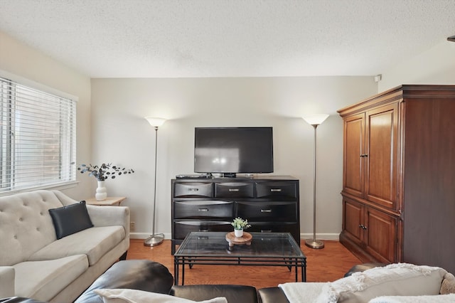 2700 Stonehaven Ct, Irving, TX 75038 - living area featuring baseboards, wood finished floors, and a textured ceiling