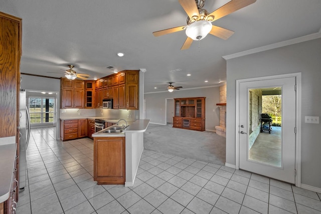 4489 E Fm 120, Denison, TX 75021 - kitchen with a ceiling fan, appliances with stainless steel finishes, a sink, and ornamental molding
