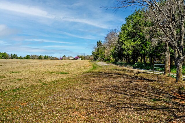 4489 E Fm 120, Denison, TX 75021 - view of nature