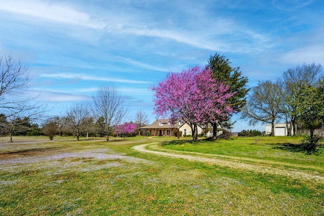 4489 E Fm 120, Denison, TX 75021 - view of yard with an outbuilding