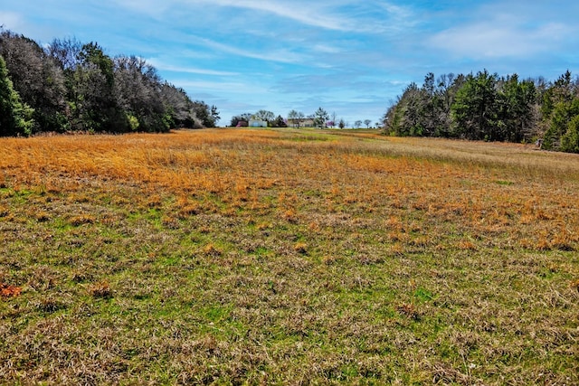 4489 E Fm 120, Denison, TX 75021 - view of landscape featuring a rural view