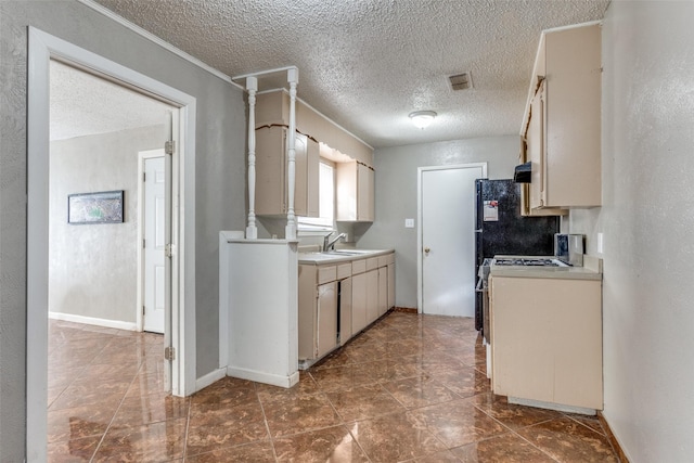 3816 Lauretta Dr, Fort Worth, TX 76119 - kitchen featuring a sink, a textured ceiling, light countertops, and visible vents