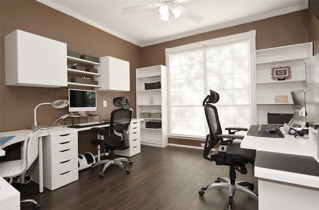 home office featuring plenty of natural light, dark wood-style flooring, a ceiling fan, and ornamental molding