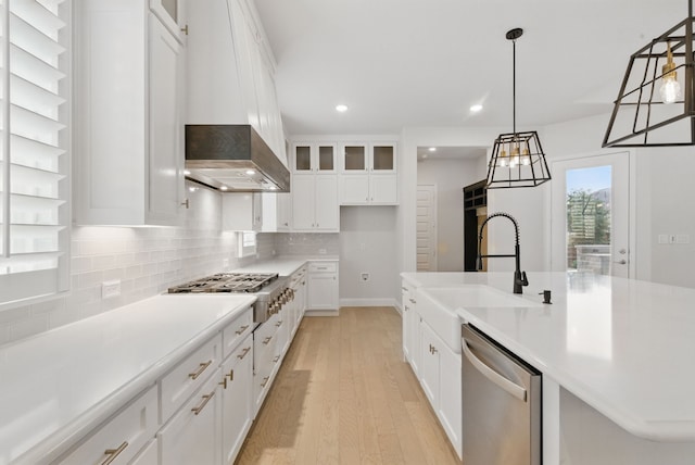 2205 Sandrellan St, Fort Worth, TX 76008 - kitchen with stainless steel appliances, a sink, light wood-style floors, recessed lighting, and custom exhaust hood