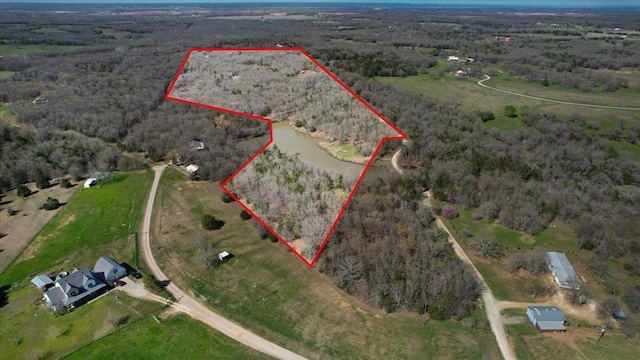 372 Private Road 123, Savoy, TX 75479 - birds eye view of property with a rural view and a forest view