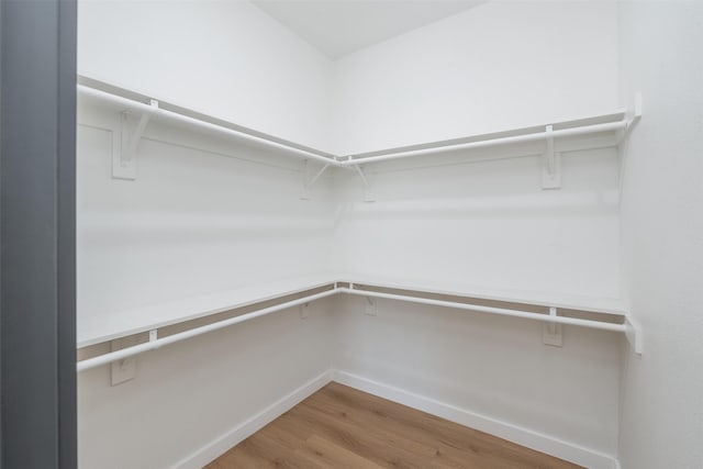 walk in closet featuring wood finished floors