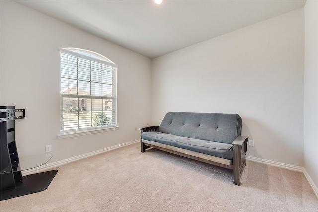 sitting room with baseboards and carpet