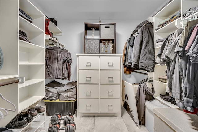 view of spacious closet