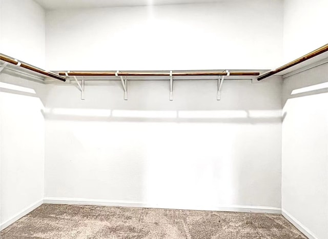 1637 Escondido Dr, Fort Worth, TX 76052 - walk in closet with carpet floors