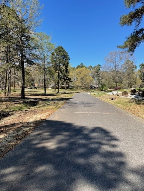 3841 Meyers St, Shreveport, LA 71119 - view of asphalt road with view of wooded area