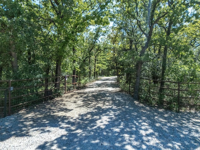 141 County Road 3481, Paradise, TX 76073 - view of road