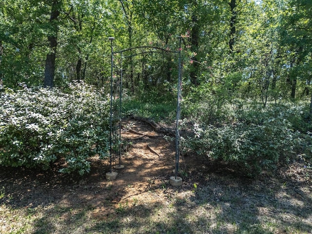 141 County Road 3481, Paradise, TX 76073 - view of landscape