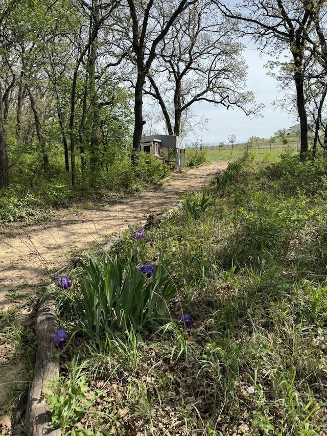 141 County Road 3481, Paradise, TX 76073 - view of street featuring driveway