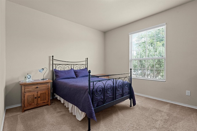 1037 Doe Meadow Dr, Fort Worth, TX 76028 - bedroom with light colored carpet, multiple windows, and baseboards