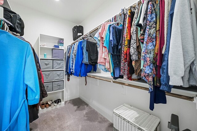 3025 S College Blvd, Denison, TX 75020 - spacious closet with carpet