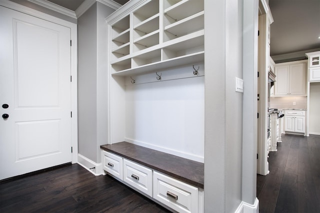 7603 Timber Trl, Tyler, TX 75703 - mudroom featuring ornamental molding, dark wood finished floors, and baseboards