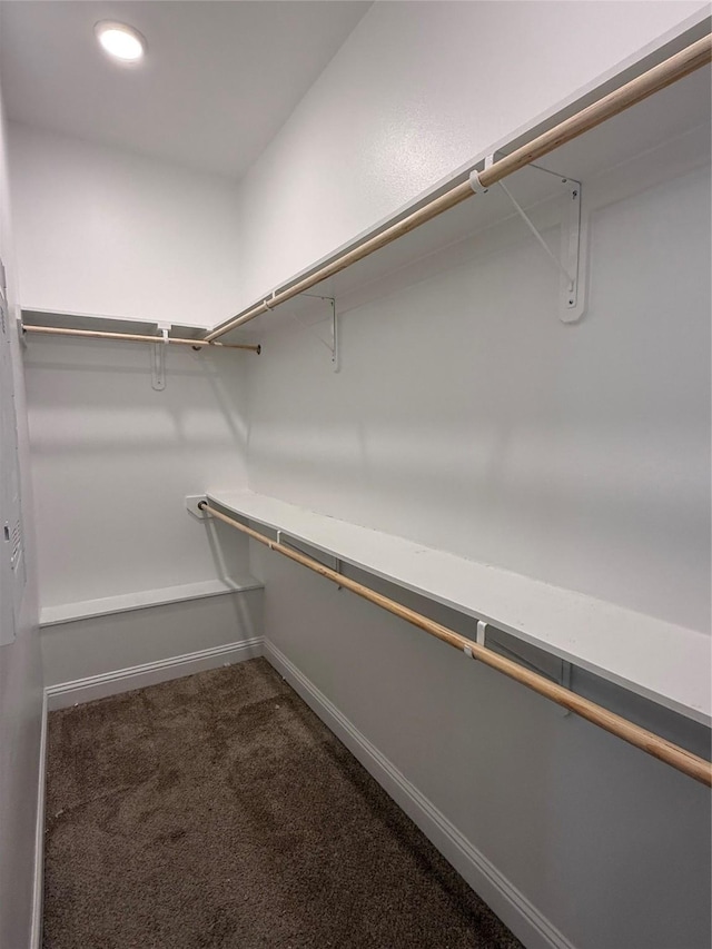 spacious closet featuring carpet flooring