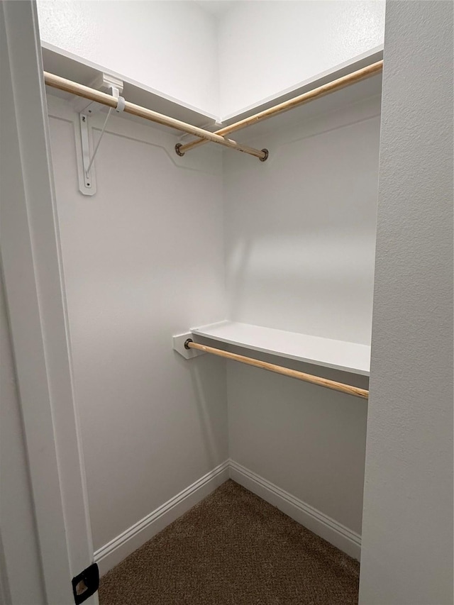 walk in closet with dark carpet