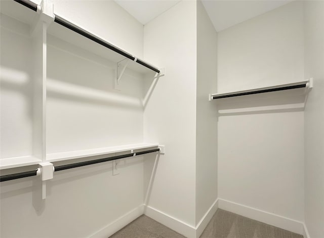 walk in closet featuring light carpet