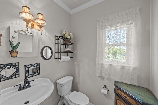4167 Prairie Meadow Ct, Fort Worth, TX 76244 - bathroom featuring a sink, ornamental molding, toilet, and baseboards