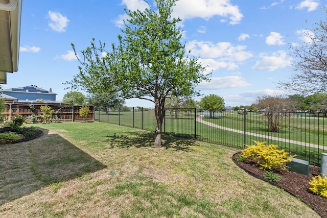 4167 Prairie Meadow Ct, Fort Worth, TX 76244 - view of yard