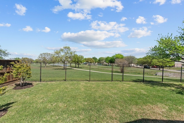 4167 Prairie Meadow Ct, Fort Worth, TX 76244 - view of yard