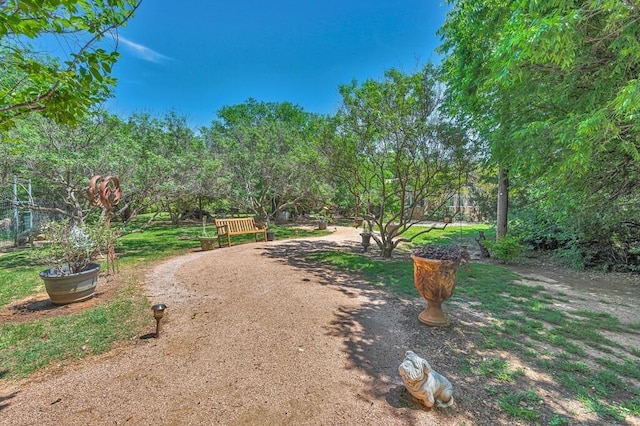 view of property's community