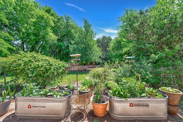 exterior space featuring a vegetable garden