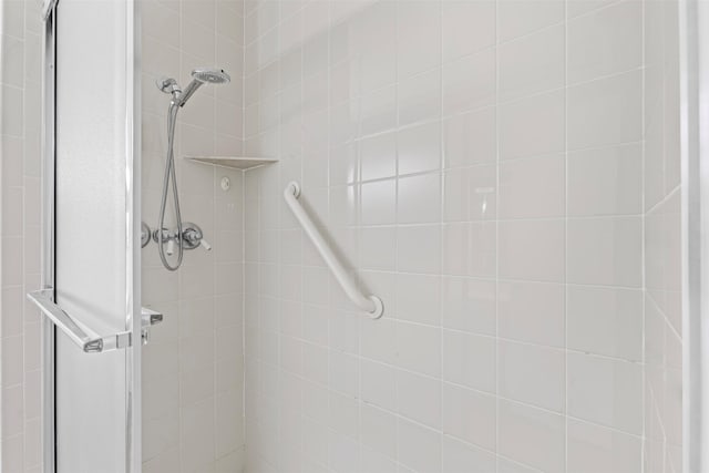 8511 Westover Ct Unit 217, Granbury, TX 76049 - bathroom with a shower stall