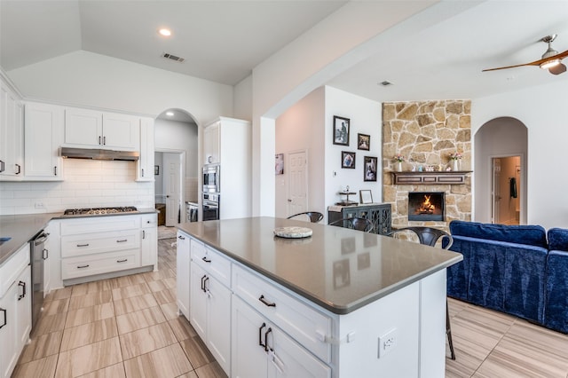 3721 Homeplace Dr, Celina, TX 75009 - kitchen with arched walkways, open floor plan, under cabinet range hood, dark countertops, and a fireplace