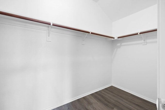 9304 Warren Dr, Mckinney, TX 75071 - spacious closet with dark wood-style floors and lofted ceiling