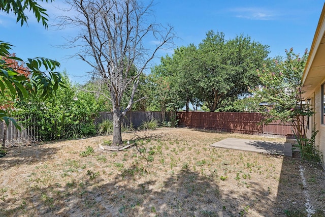 9304 Warren Dr, Mckinney, TX 75071 - view of yard featuring a fenced backyard and a patio area