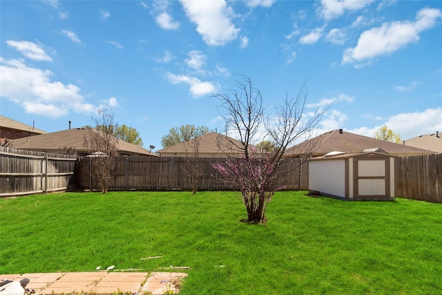 view of yard with a fenced backyard, an outdoor structure, and a storage unit