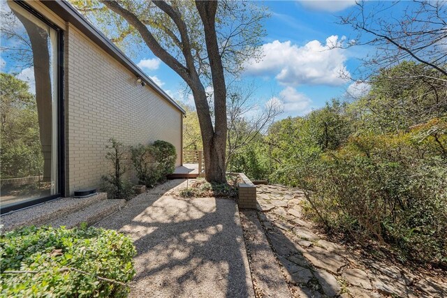 view of yard featuring a patio