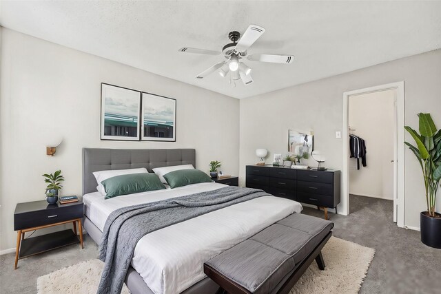 5300 Keller Springs Rd Unit 2044, Dallas, TX 75248 - bedroom with a spacious closet, carpet, and baseboards