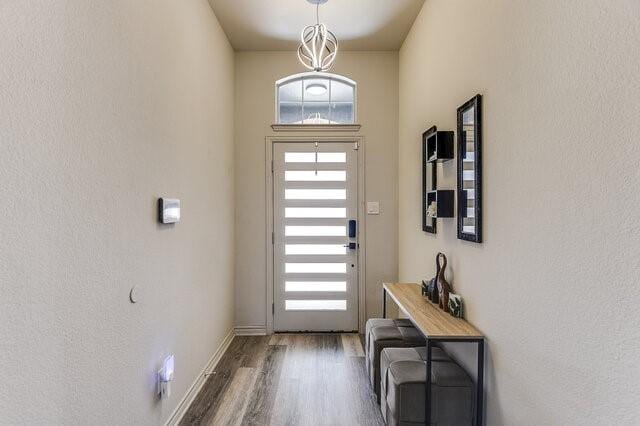 entrance foyer featuring baseboards, wood finished floors, and a healthy amount of sunlight