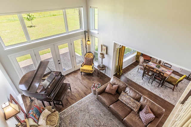 1125 Old Airport Rd, Weatherford, TX 76087 - living room featuring a high ceiling, a wealth of natural light, french doors, and wood finished floors